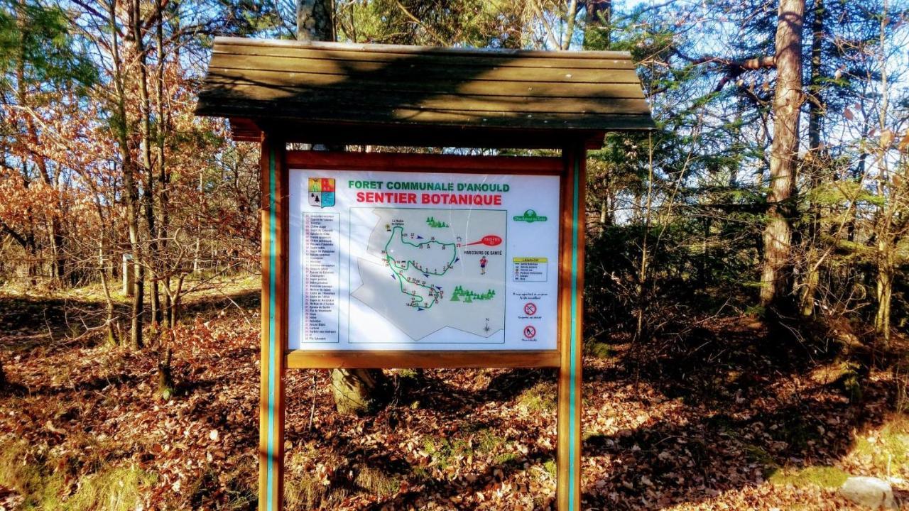 Chalet De La Feigne Anould Kültér fotó