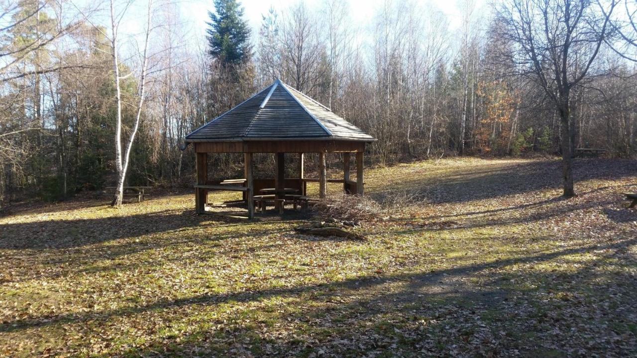 Chalet De La Feigne Anould Kültér fotó